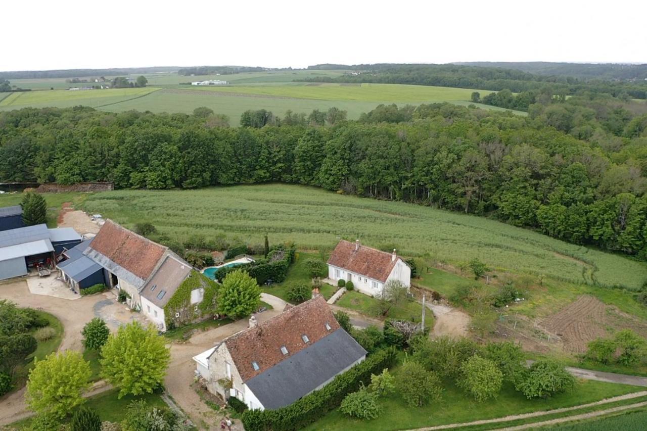 Chambres D Hotes De La Mauguiniere Neuille-le-Lierre Exterior photo
